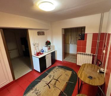 Drobeta-Turnu Severin Apartment | Garsonieră Splai Drobeta Turnu-Severin