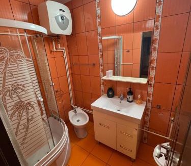 Drobeta-Turnu Severin Apartment | Garsonieră Splai Drobeta Turnu-Severin
