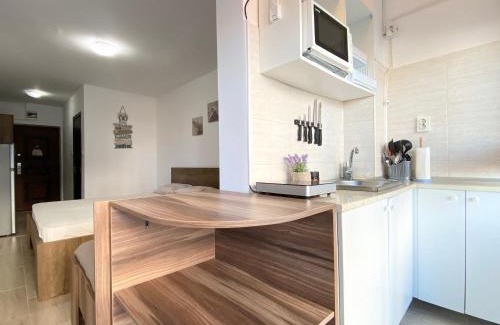 Saturn Apartment | Garsoniera Central Saturn Alpha Residence