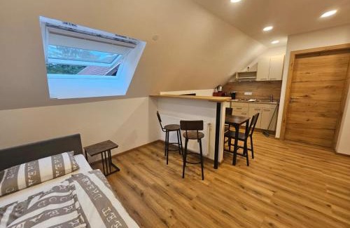 Murau Apartment | Gasthaus Eichholzer