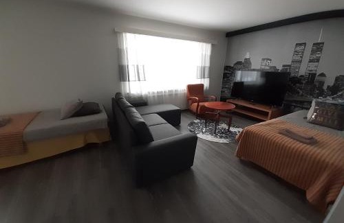 Lappeenranta Hotel | Gasthaus Patruuna