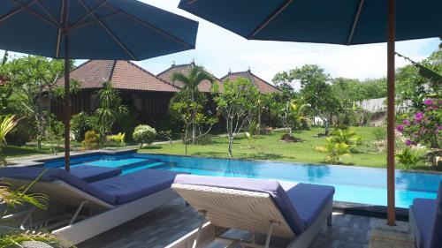 Mushroom Bay House | Gatri Hut