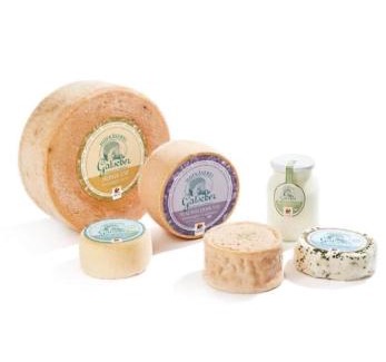 Chienes Apartment | Gatscherhof - Nature, Cheese and Relax