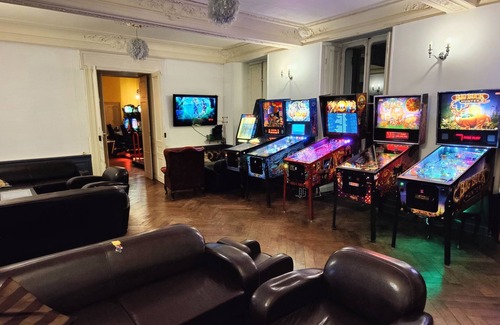 Seurre Other | Geek Castle in Seurre: 30 beds, 12 bedrooms, arcade terminals and pinball machines