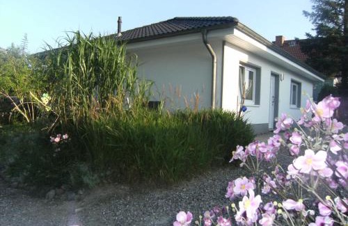 Sassnitz Apartment | Gemütliche Fewo Sonnenuntergang WE52433