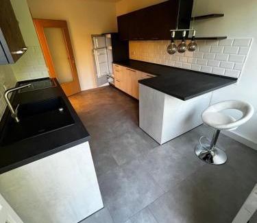 Altchemnitz Apartment | Gemütliche, ruhige Wohnung in direkter Uninähe
