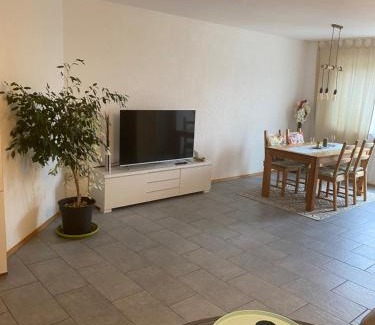 Herdwangen Schoenach Apartment | Gemütliche, sonnendurchflutete Ferienwohnung in Bodenseenähe am Säntisblick