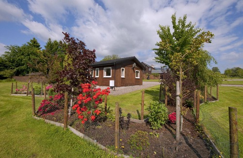 Taynuilt Ski Chalet | Gemütliches Chalet in der Natur