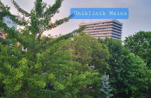 Oberstadt House | Gemütliches Privatzimmer an der Uniklinik Mainz. Sehr zentral
