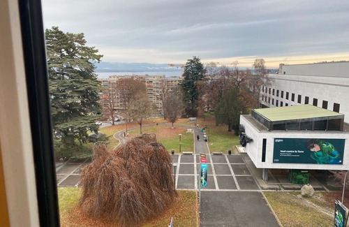 Les Eaux-Vives Apartment | Geneve-Centre, Lake view, Splendid and large apartment.