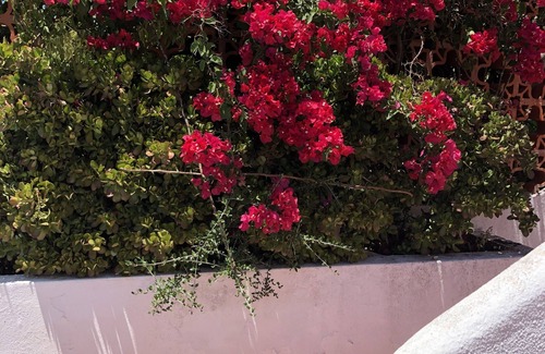 Cerro do Mocho Villa | Genie's Villa Boutique, Algarve-Family Friendly-Pool,Balcony Garden, Terrace,BBQ