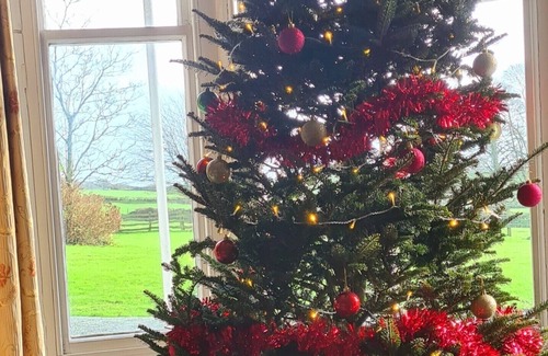Tremain House | Georgian guesthouse for large families. Large garden, dog friendly.