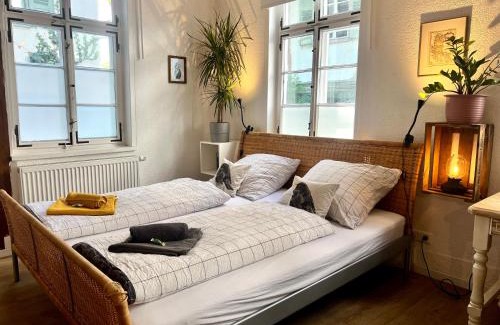 Innenstadt Apartment | Geräumiges Studio in der Altstadt mit Küche & Kingsize Bett Come In