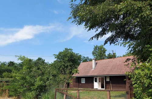 Sisak-Moslavina House | Get away from stress and enjoy peace in a wooden house surrounded by nature.
