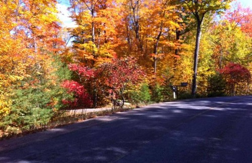 Port Loring Cottage | "GET AWAY FROM IT ALL", Private cottage with lakefront view! #6