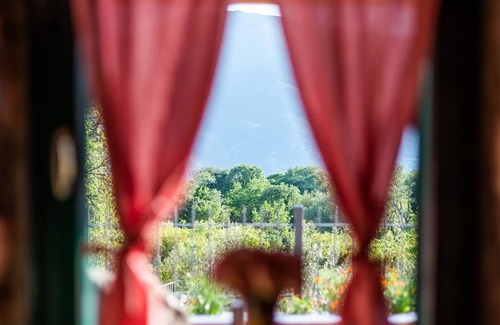 Vid Villa | Getaway in the relaxing nature