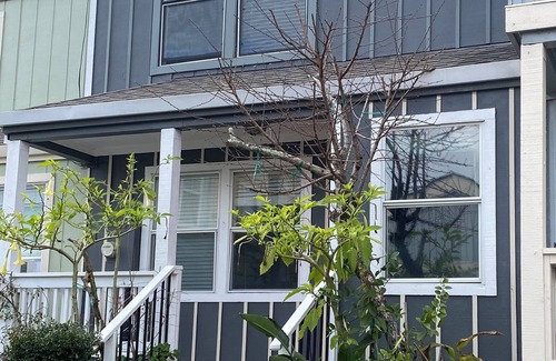 Geyserville Condo | Geyserville Getaway Retreat 30 day minimum