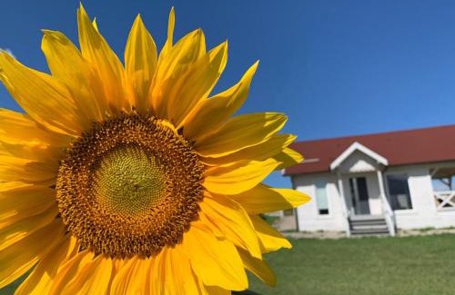 Pozezdrze House | Giżycko-Przerwanki Domki Widok na Mazury