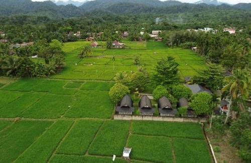 Bohorok Resort | Gino's Place - Guest House & Jungle Trekking