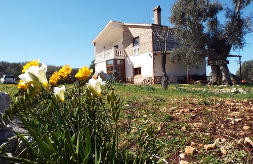 San Nicandro Garganico Bed & Breakfast | Gio Horses GARGANO NATIONAL PARK BETWEEN THE SEA, LAKES OF LESINA AND VARANO.