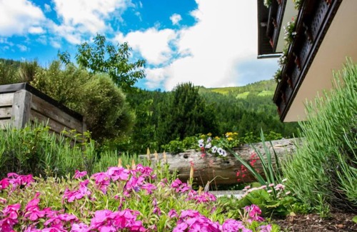 Donnersbachwald Apartment | Gipfelkreuz by Interhome