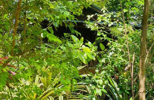 Dambulla Resort | girilena resort
