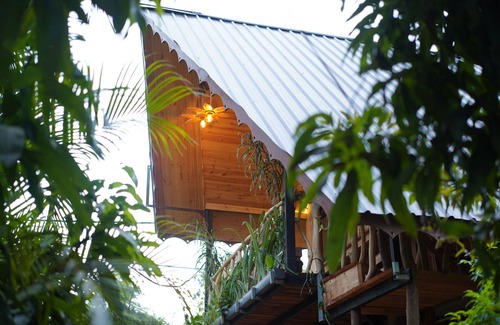 Habarana Cottage | Gisban Wood Cabana & Hostel (Luxury Wood Cabana In Habarana)