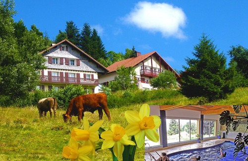 Gerardmer House | Gîte/Chalet* indoor swimming pool for private use, bordering the forest, panoramic view