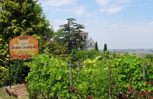 Gente House | Gite "Chez Martine" - 2 people near Cognac