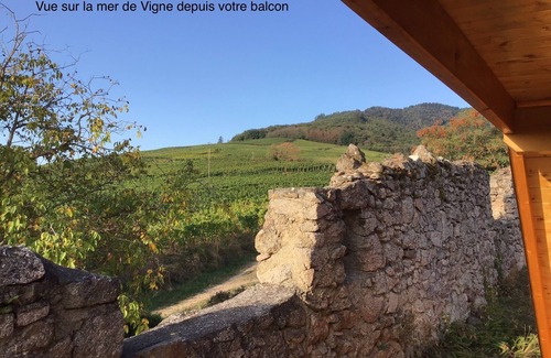 Dambach-la-Ville Cottage | Gite Coté Rempart, spacious, Ground floor, Terrace