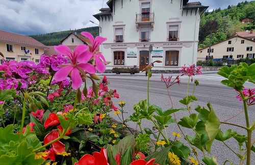 Ventron House | Gite "Daffodil" of 6/8 people with collective Jacuzzi