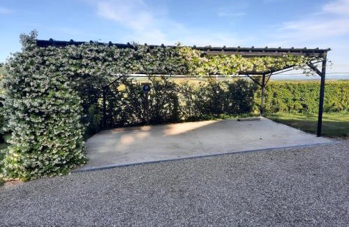 Montpezat-de-Quercy House | Gite de La Cheneraie