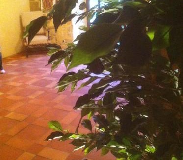 Sauveterre-la-Lemance House | gite des rois ducs