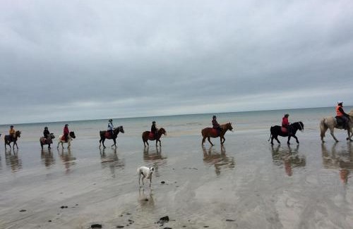 Brehal House | GITE EQUESTRE DE LA LANDE