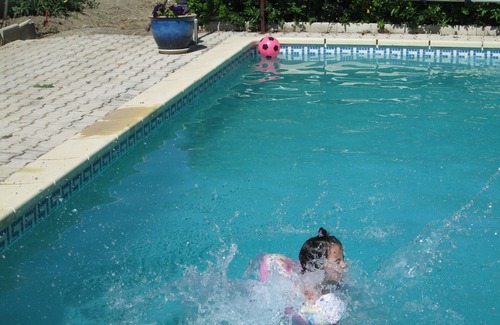 Laurens Apartment | Gite for 4 people in Languedoc with shady garden and swimming pool