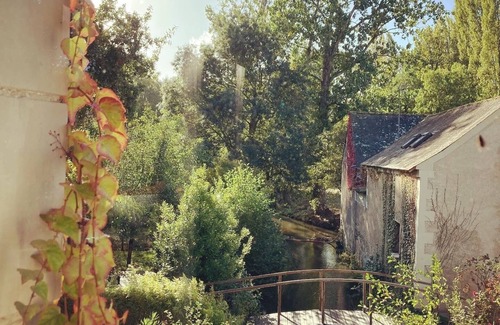 Saint-Melaine-sur-Aubance House | Gite in the heart of the vineyards in Anjou