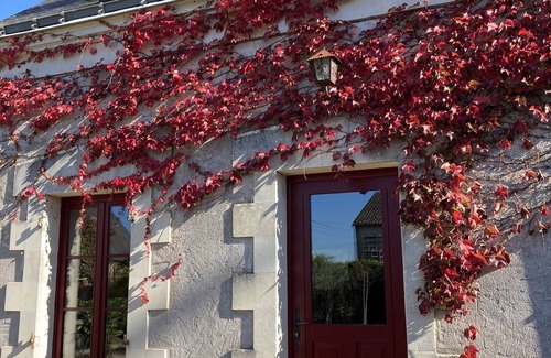 Saint-Melaine-sur-Aubance House | Gite in the heart of the vineyards in Anjou