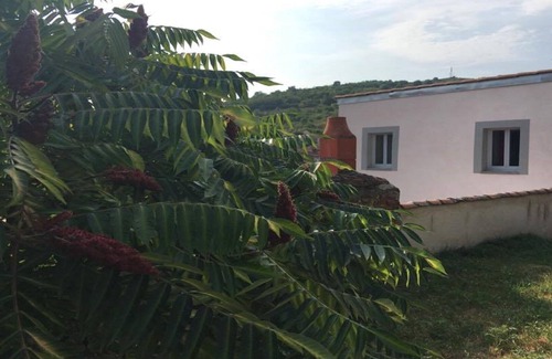 Champeix House | Gîte * La CHAMPILLAUMIERE: the cocoon spirit