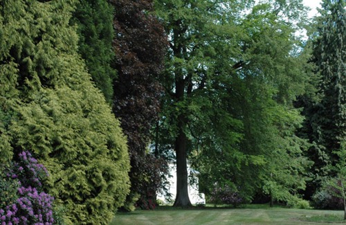 Touffreville-la-Corbeline House | Gite La Folletière, 5 bedrooms, 9 persons