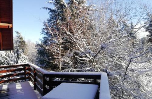 Saint-Antheme Ski Chalet | Gite Le Chalet SaintAnthème/Prabouré