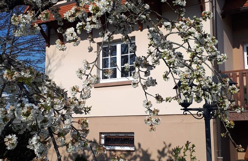 Monswiller House | GITE LE PLATANE