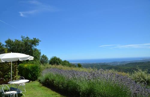 Vence Apartment | Gite les Citronniers