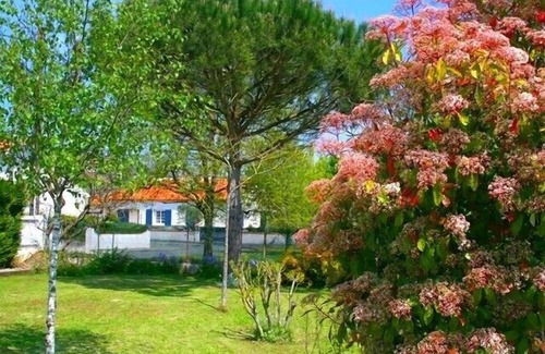 Dompierre-sur-Mer Apartment | Gîte les Dimeries - La Rochelle holiday home for 2 persons. with garden.