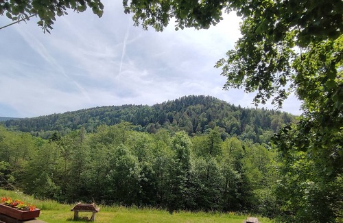 Miellin Apartment | Gite standing Vosges du Sud and plateau of a thousand ponds