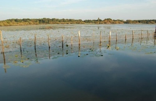 Touvois House | Gite Touvois, 2 bedrooms, 4 persons