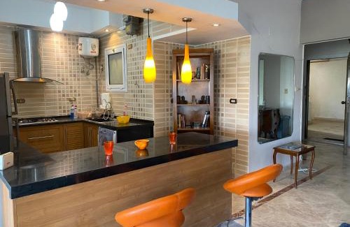 Oula Apartment | GIZA NILE VIEW APT