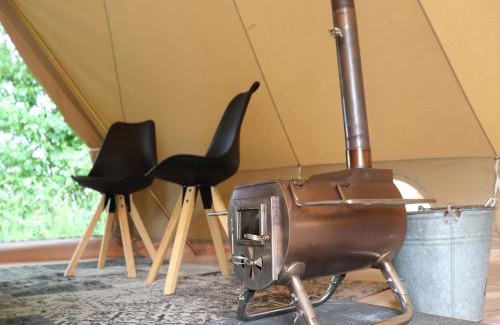Twijzel Other | Glamour Tent in Frisian Woods near Cycling Route, cleaning included