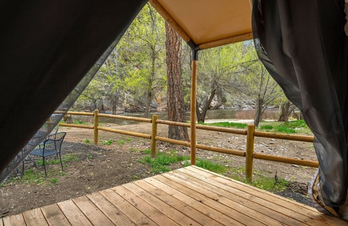 Poudre Park House | Glamp 2- Rocky Mountain Elk