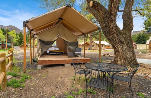 Poudre Park House | Glamp 2- Rocky Mountain Elk