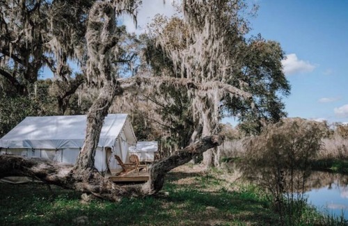 Floral City RV Rental | Glamp on a Florida Orange Grove "Butterfly" Tent